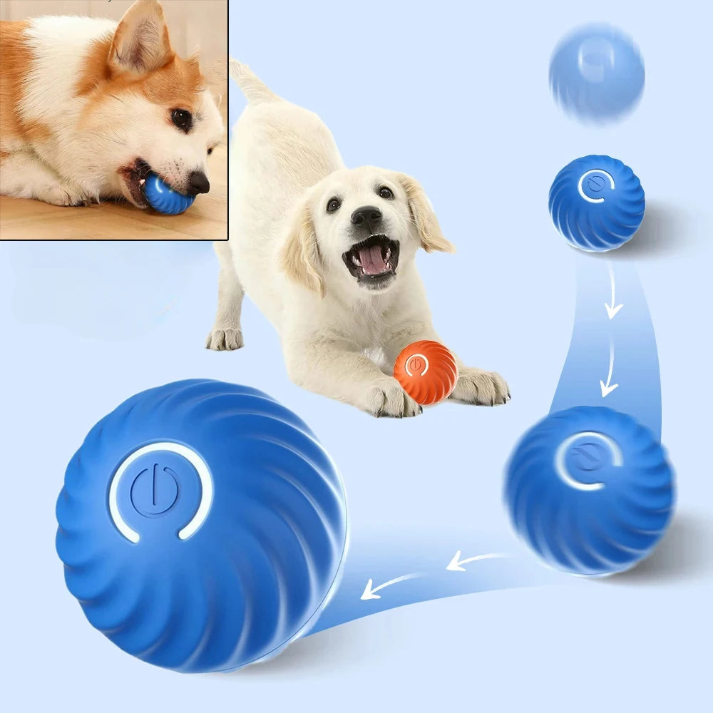 WoofWave Smart Play Ball