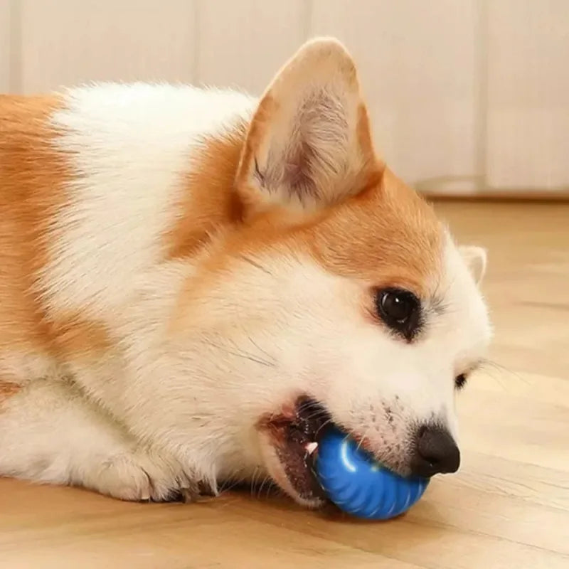 WoofWave Smart Play Ball