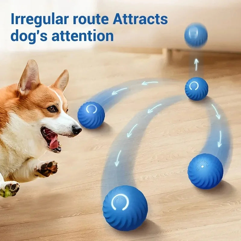 WoofWave Smart Play Ball