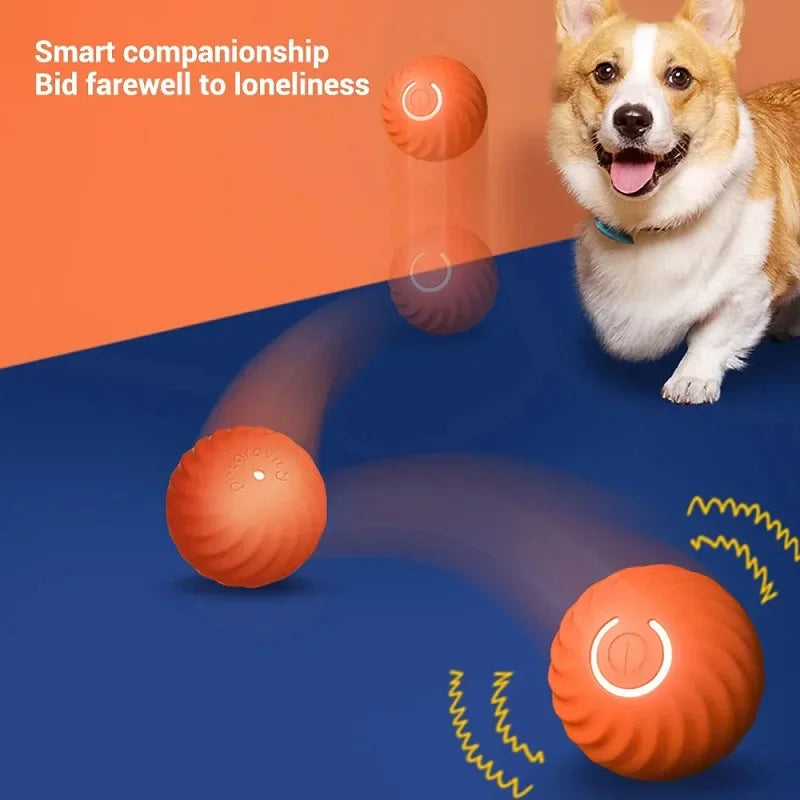 WoofWave Smart Play Ball