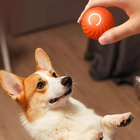 WoofWave Smart Play Ball